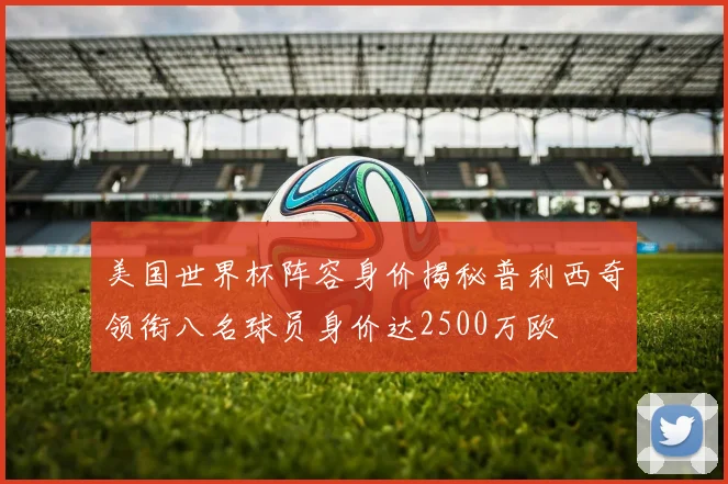 美国世界杯阵容身价揭秘普利西奇领衔八名球员身价达2500万欧